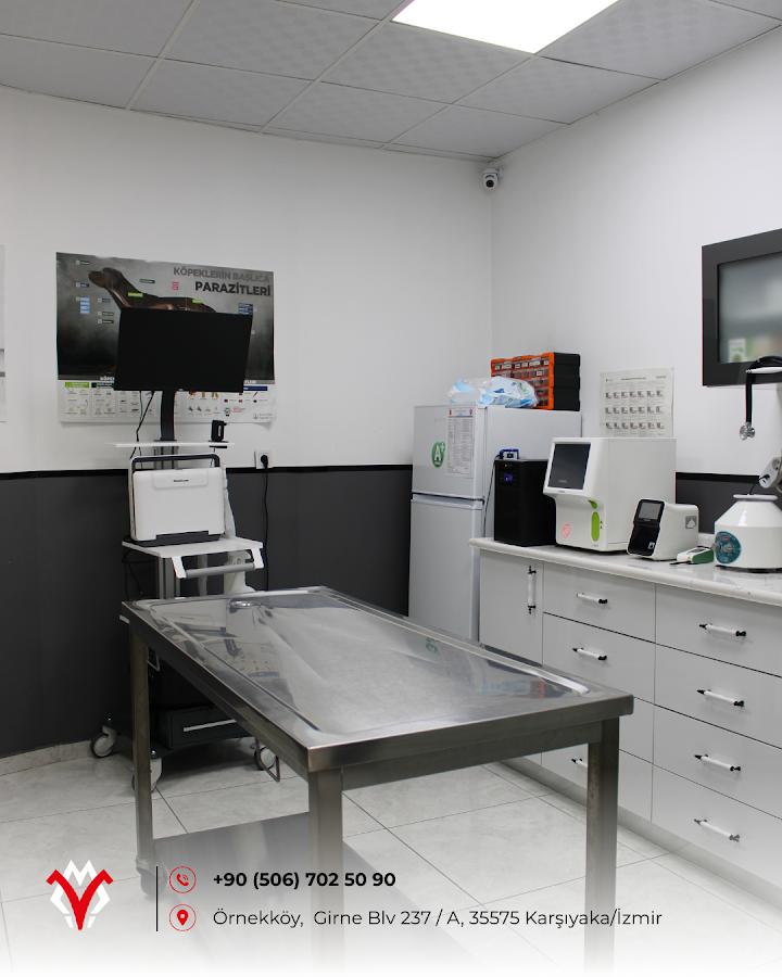 MartıPet Veteriner Kliniği muayene ve tanı alanı